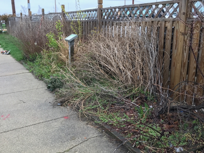 A wooden fence alongside a sidewalk